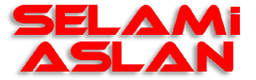 Selami Aslan Oto Gaz Dönüşüm Sistemleri logosu