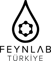 Studio Feynlab logosu